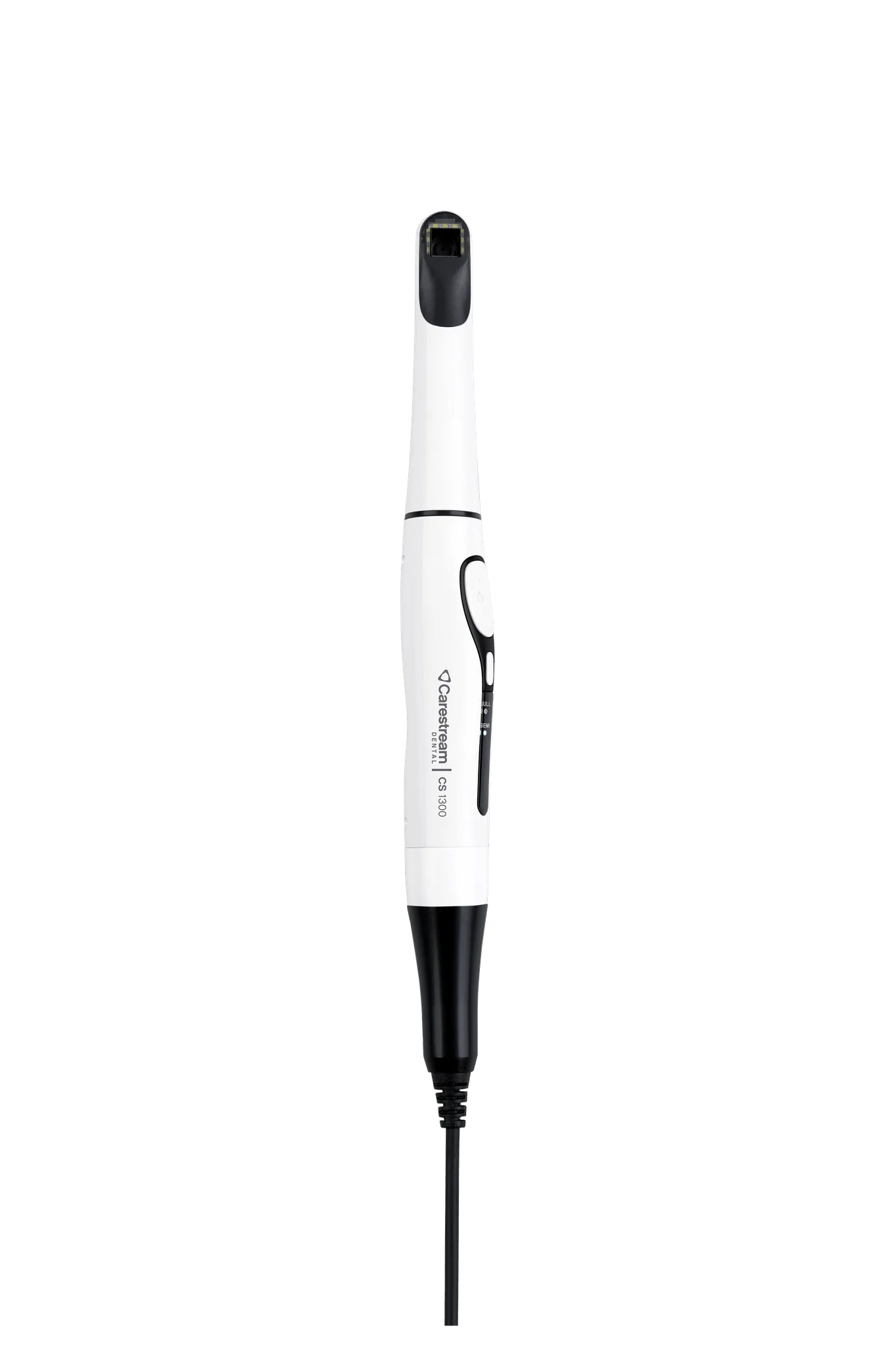 CS 1300